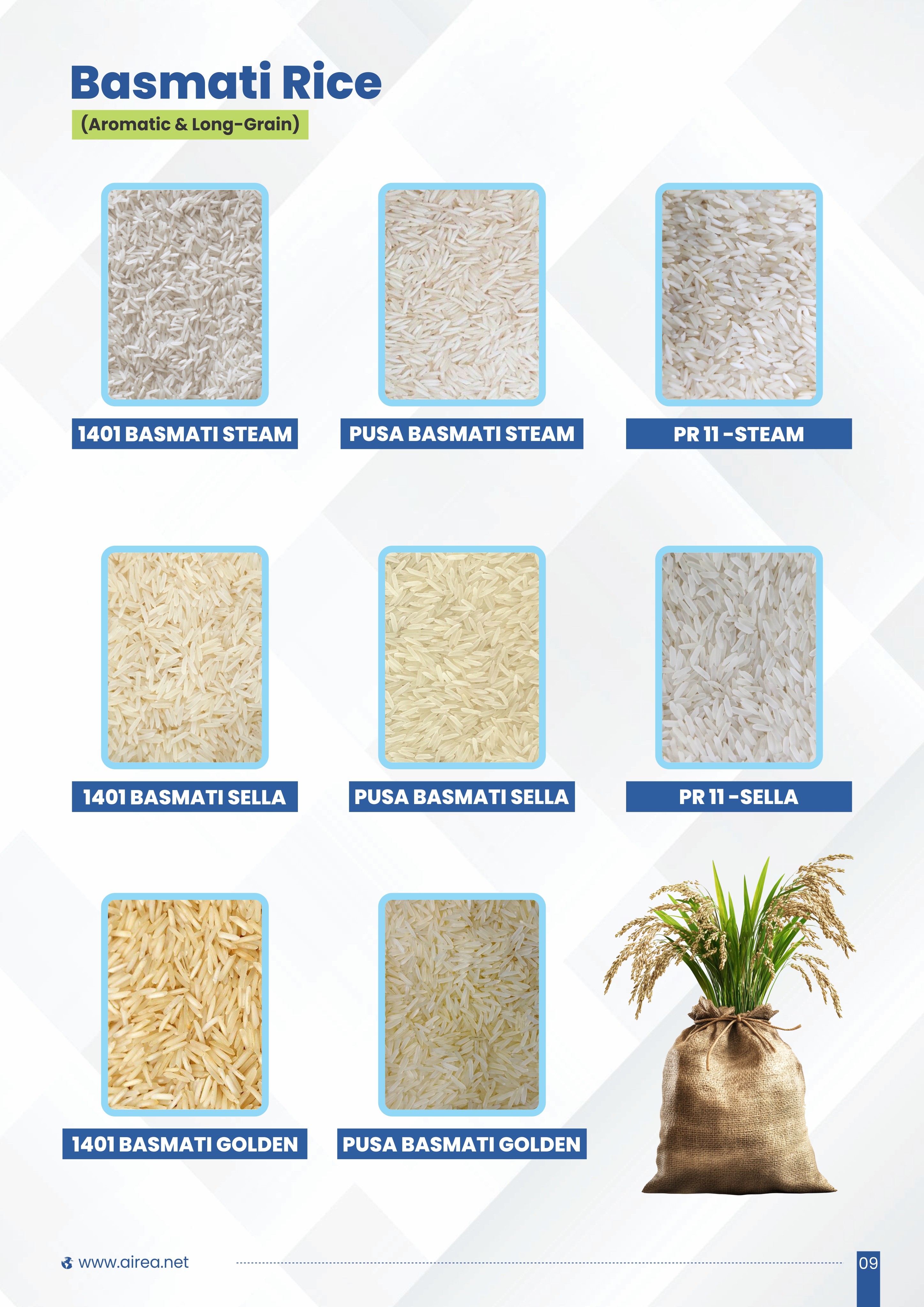 Rice Production Image